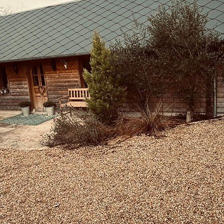 Cottage Normand Avec Sa Grande Piscine Chauffee Toute L Annee Sur Parc Arbore Et Clos En Plein Coeur De La Campagne Adapte Aux Kids Et Dog Friendly Saint-Antonin-de-Sommaire Exteriör bild